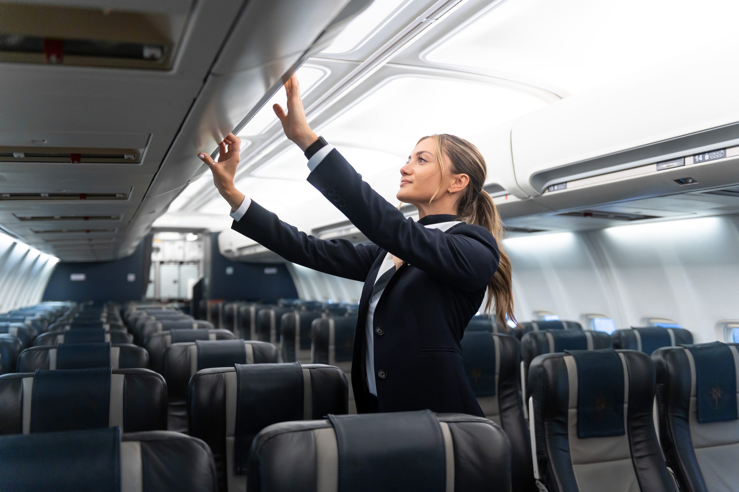 Stewardess On Airplane Stock Photo Download Image Now Cabin Crew, Air  Stewardess, African-American Ethnicity IStock