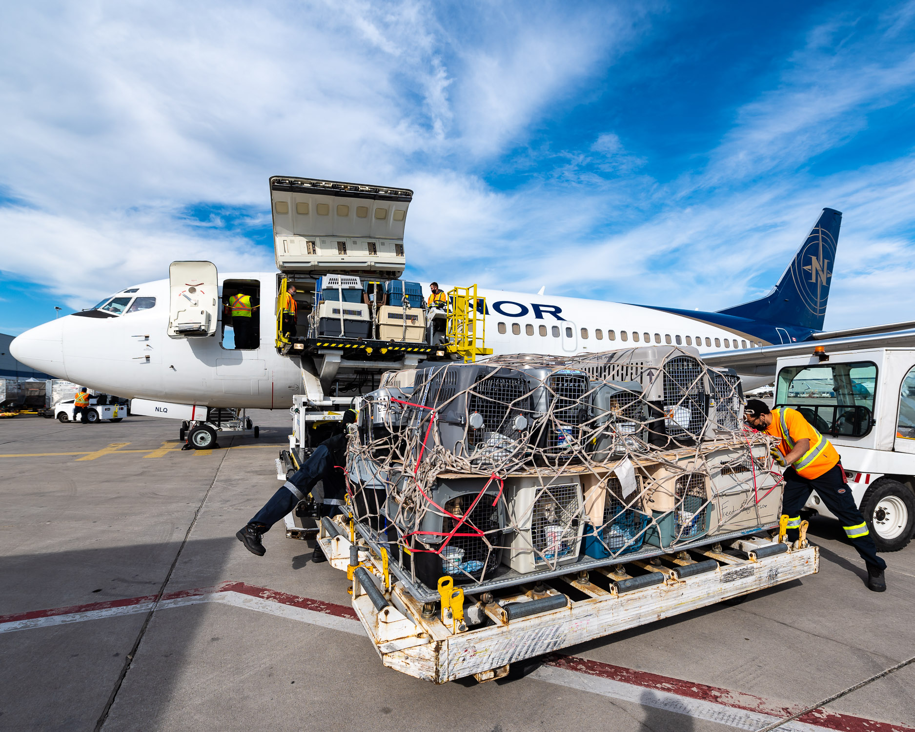 Cargo being loaded onto a commercial airplane at an airport, with workers securing the freight on a transport cart.