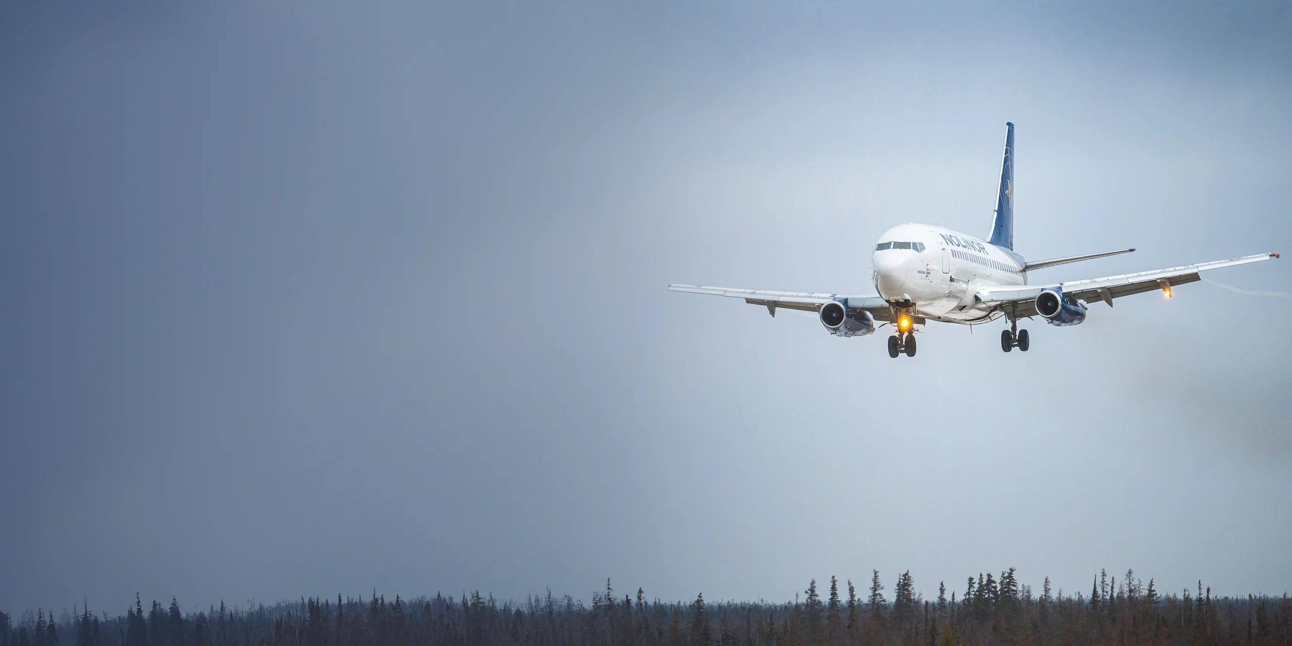 Un avion de ligne atterrit sur une piste, avec des arbres en arrière-plan sous un ciel nuageux. Les feux d'atterrissage sont allumés.