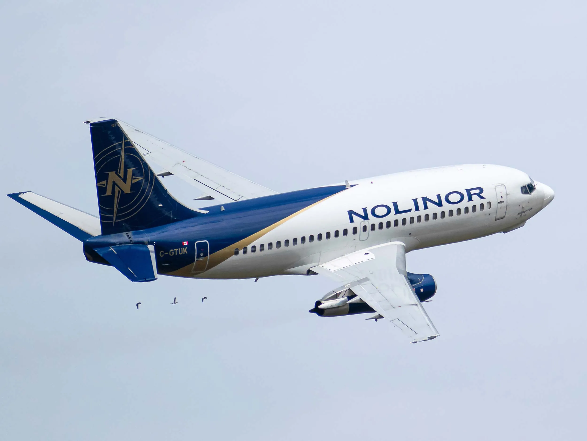 Nolinor Airlines aircraft in flight, showcasing a blue and white design with the logo on the tail, against a cloudy sky.