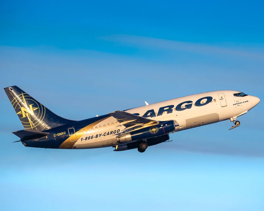 A cargo airplane takes off against a clear blue sky, featuring a prominent logo and contact number on its fuselage.