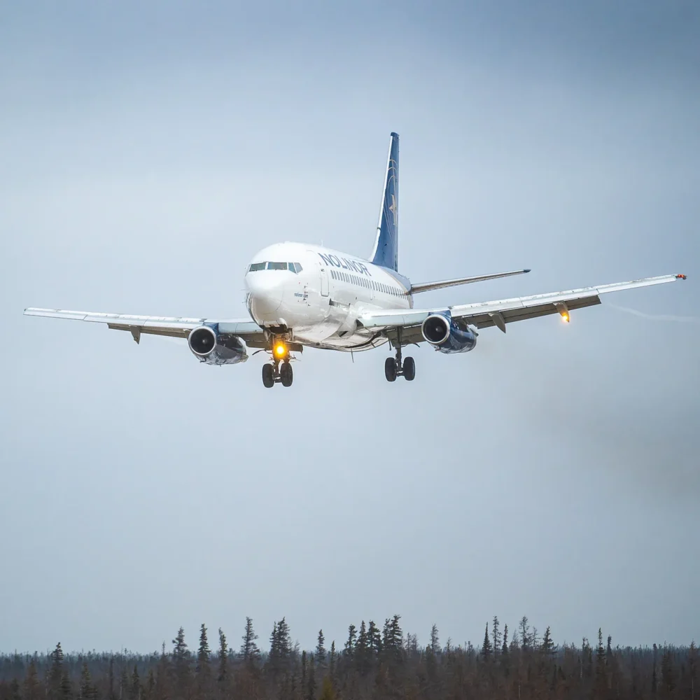 A commercial airplane approaches for landing against a cloudy sky, with trees visible in the foreground.