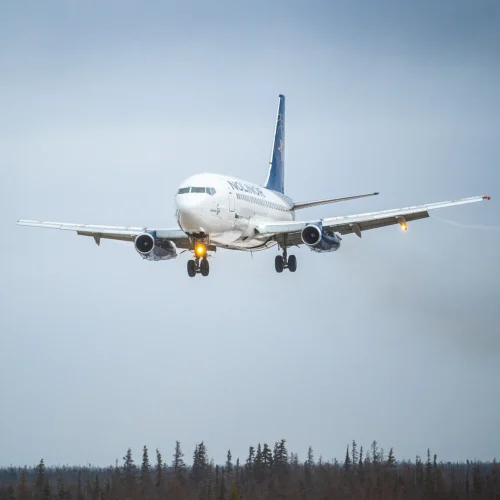 A commercial airplane approaches for landing against a cloudy sky, with trees visible in the foreground.